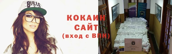 крисы Богданович