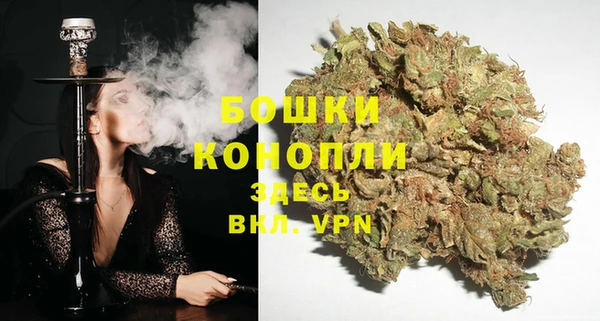крисы Богданович