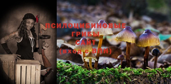 крисы Богданович